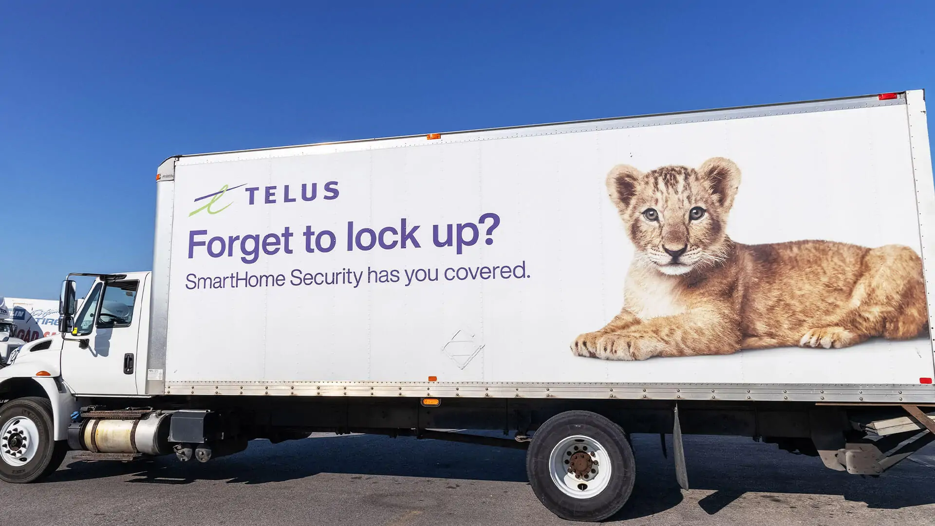 TELUS branded transport truck with premium fleet graphics